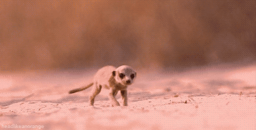 Daily GIFs Mix, part 43