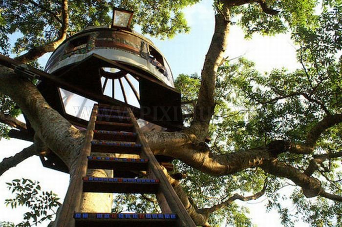 The Most Dangerous Treehouses 
