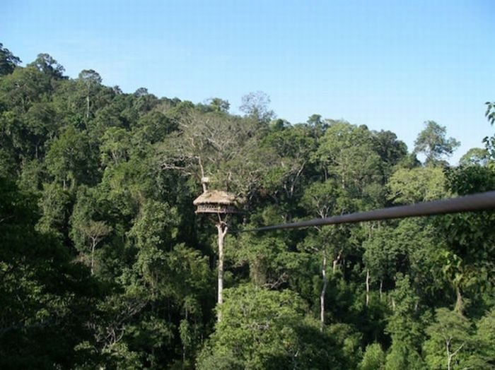 The Most Dangerous Treehouses 