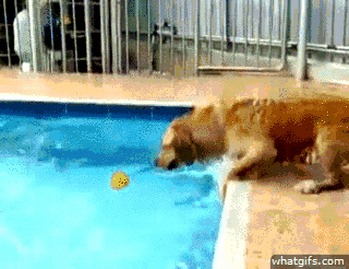 Daily GIFs Mix, part 44