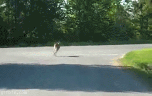 Daily GIFs Mix, part 44