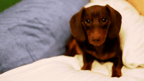 Daily GIFs Mix, part 45