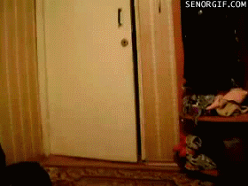 Daily GIFs Mix, part 45