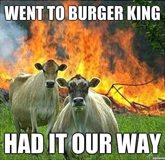 Evil Cows