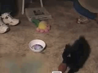 Daily GIFs Mix, part 47