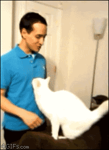 Daily GIFs Mix, part 50