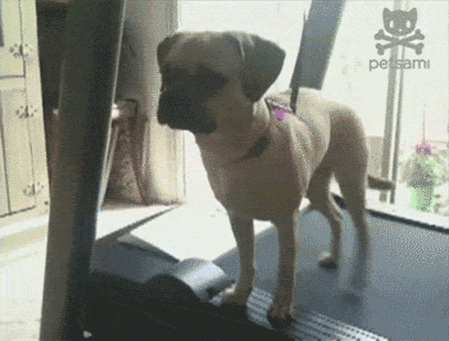 Daily GIFs Mix, part 50