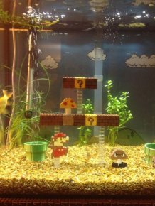 Super Mario themed aquarium