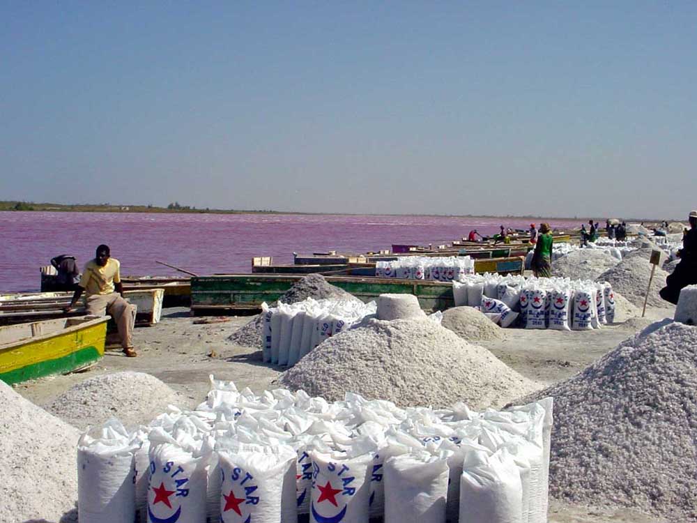 Pink Lake in Senegal