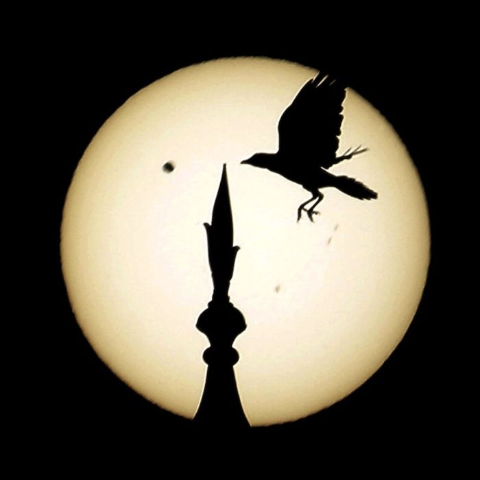 Venus Passing In Front Of The Sun