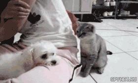 Daily GIFs Mix, part 54