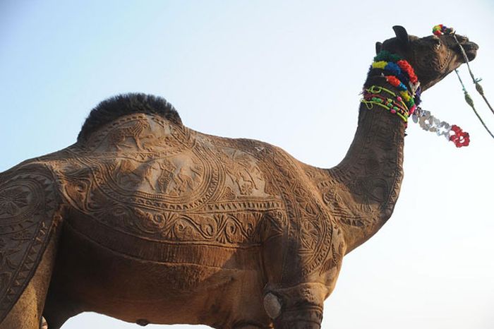 Amazing Camel Hair Art