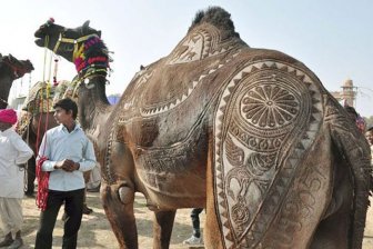 Amazing Camel Hair Art