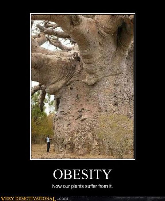 Funny Demotivational Posters, part 83