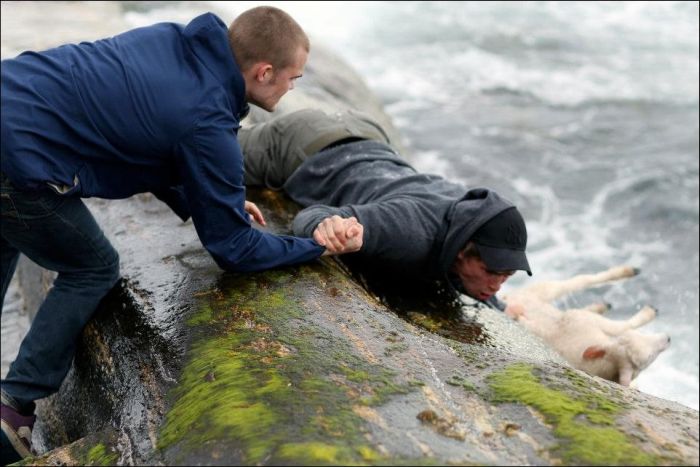 Saving a Lamb That Fell Down into the Sea