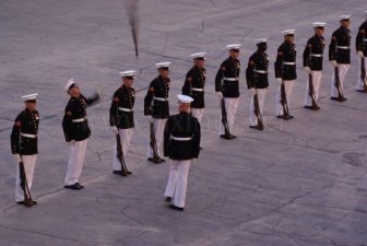 Soldier Drops His Riffle During a Parade Practice 