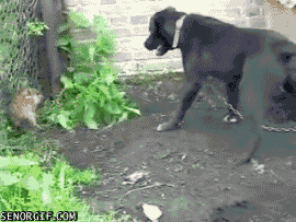 Daily GIFs Mix, part 60