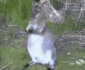 Daily GIFs Mix, part 60