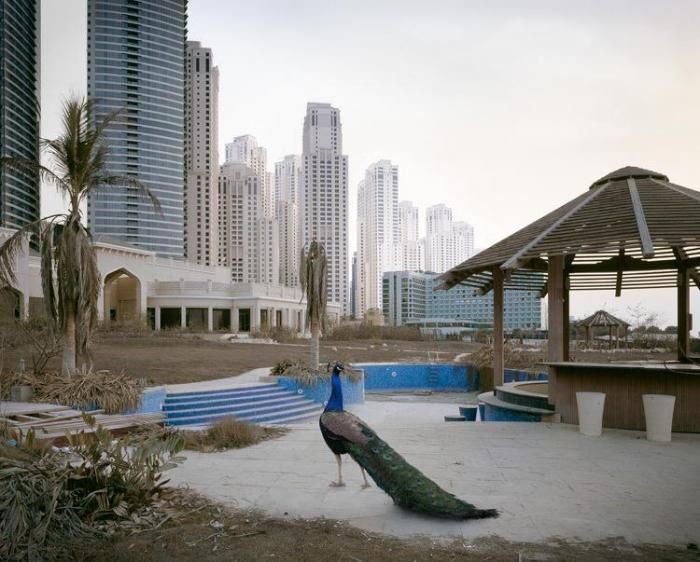 Post-Apocalyptic Dubai
