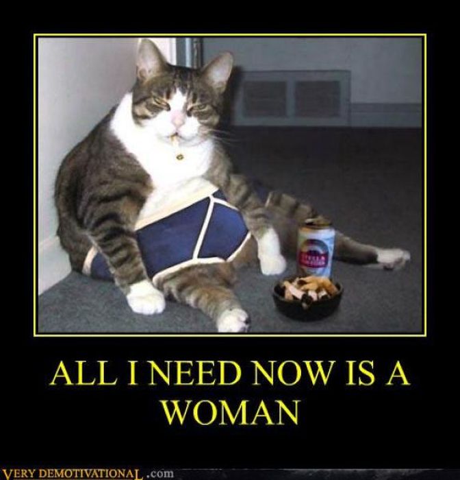 Funny Demotivational Posters, part 87