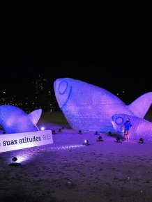 Unusual Sculptures Emerge on Brazilian Beach 