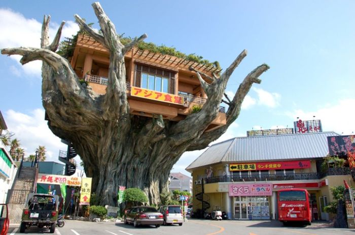 Okinawa's Banyan Treehouse Restaurant