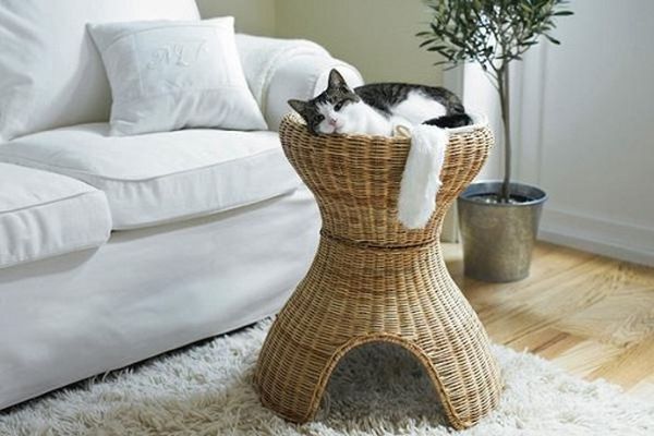 Furniture for Cats