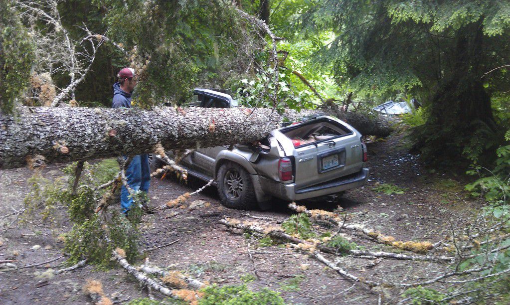Couple’s Truck Crunched By Nature 