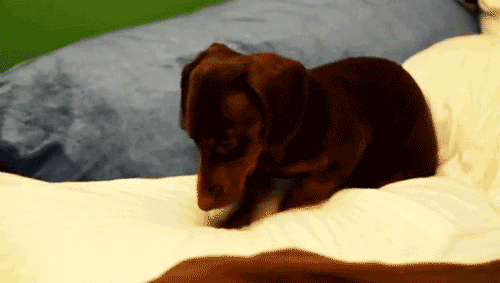 Daily GIFs Mix, part 74