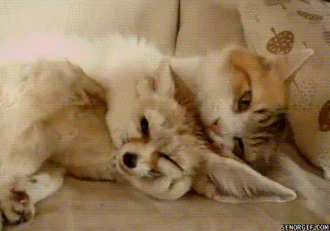 Daily GIFs Mix, part 75