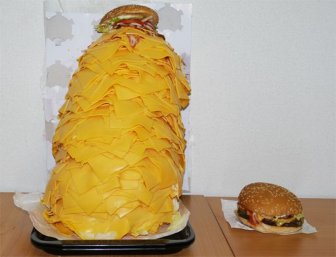 Hamburger with 1000 Slices of Cheese