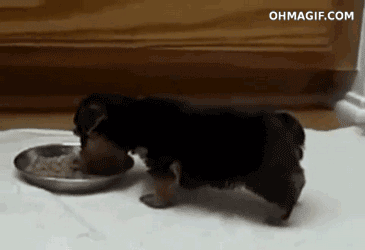 Daily GIFs Mix, part 78