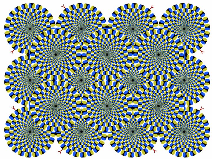 No GIFs Just Image Illusions 