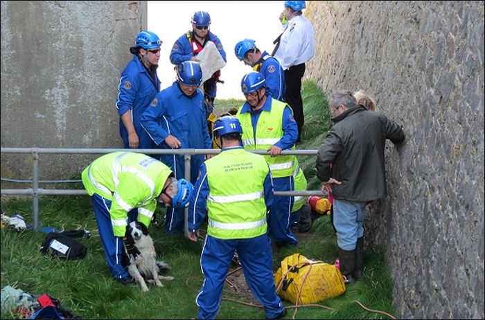 Coastguards Save Stranded Dog