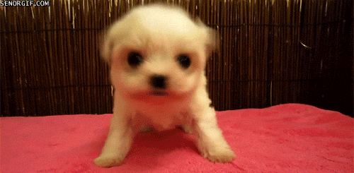 Daily GIFs Mix, part 81