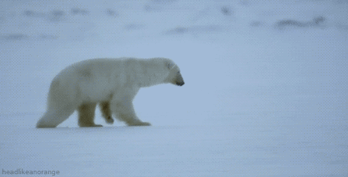 Daily GIFs Mix, part 81