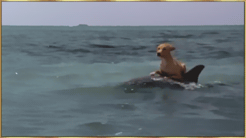 Daily GIFs Mix, part 82