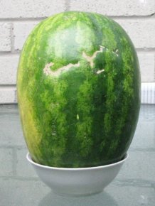 Smiling Watermelon