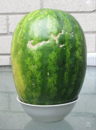 Smiling Watermelon