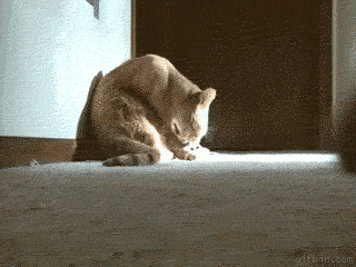 Daily GIFs Mix, part 83