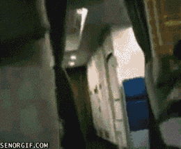 Daily GIFs Mix, part 83