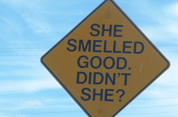 WTF Signs, part 15