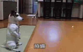 Daily GIFs Mix, part 84
