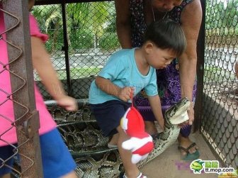 Playing with a Large Snake 