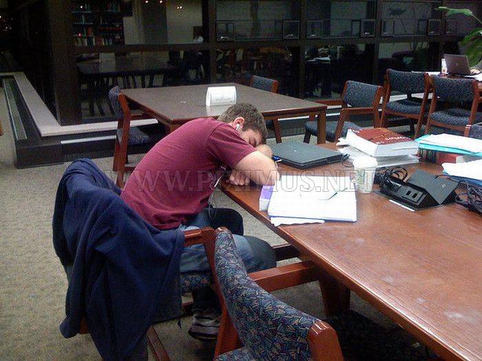 Sleeping in the Library