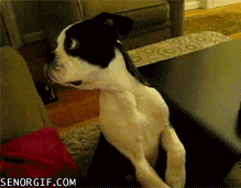 Daily GIFs Mix, part 86