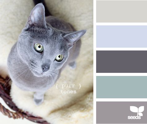 Kittenish And Puppyful Color Palettes