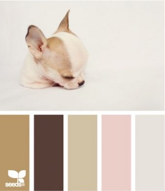 Kittenish And Puppyful Color Palettes