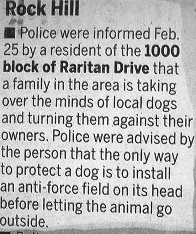 Animal-Related Police Blotters