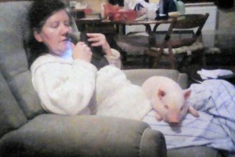 Not a Normal Mini Pig